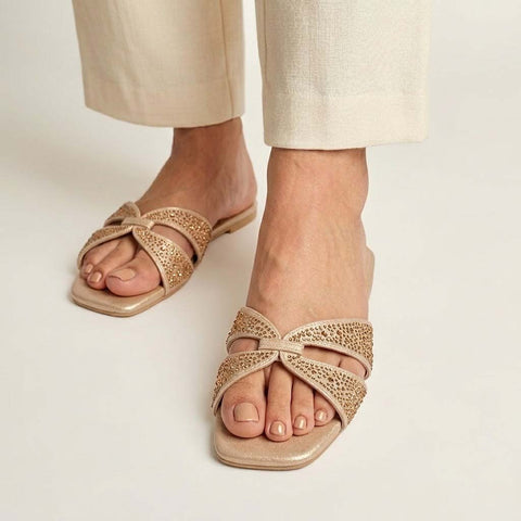 Ayra Champaign Slides